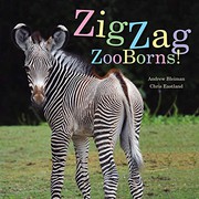 Zigzag zooborns! : zoo baby colors and patterns Book cover