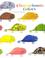 Go to record Chameleon's colors