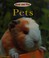 Go to record Pets