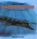Go to record Kronosaurus and other sea creatures