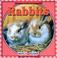 Go to record Rabbits