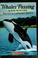 Go to record Whales passing