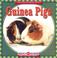Go to record Guinea pigs
