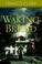 Go to record Waking Brigid