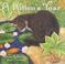 Go to record A kitten's year