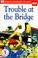 Go to record Trouble at the bridge